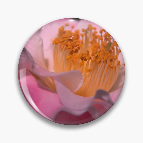 Item preview, USA. Philadelphia Flower Show 2020. Camellia. designed and sold by vadim19.