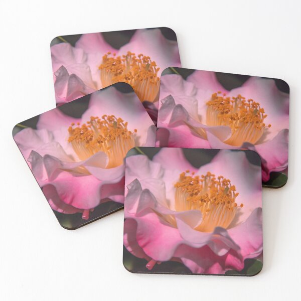Item preview, USA. Philadelphia Flower Show 2020. Camellia. designed and sold by vadim19.