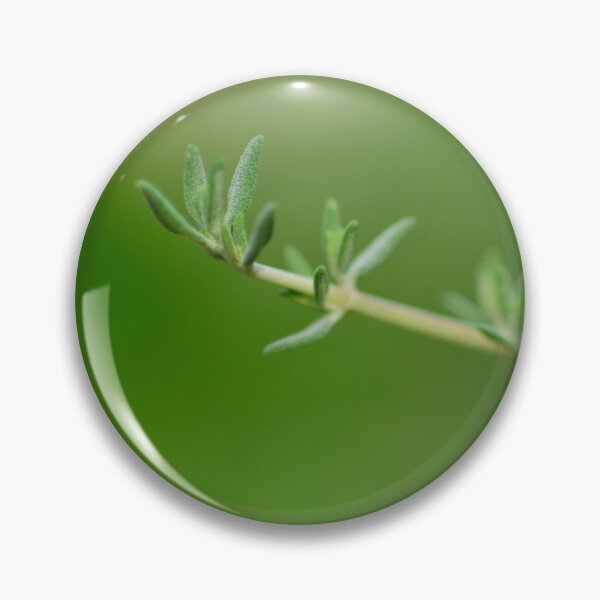 Item preview, Garden herbs - a sprig of thyme designed and sold by wineandwords.
