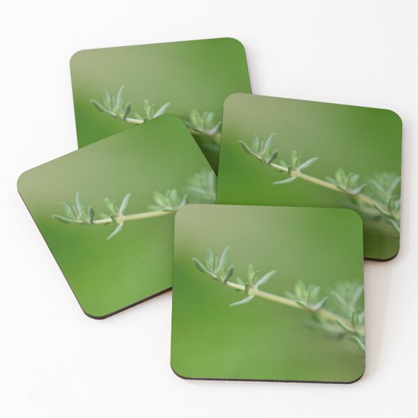 Item preview, Garden herbs - a sprig of thyme designed and sold by wineandwords.