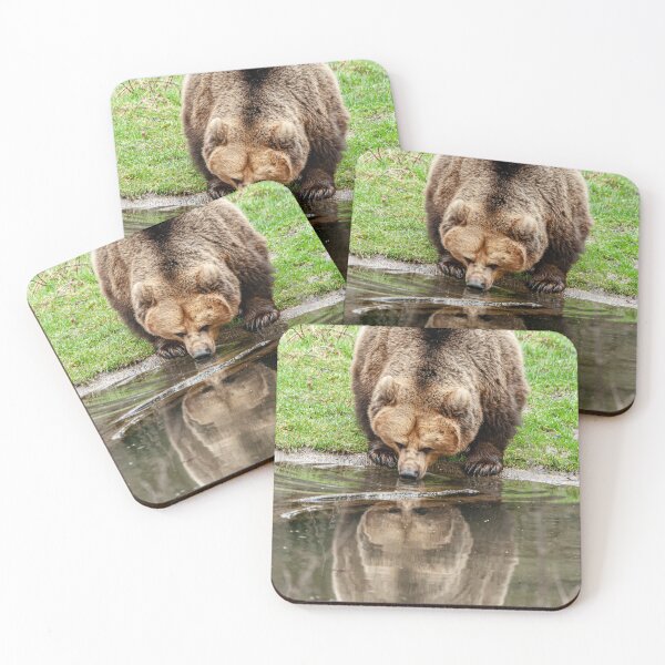 Item preview, Bear reflections designed and sold by Dalyndigital Photography.