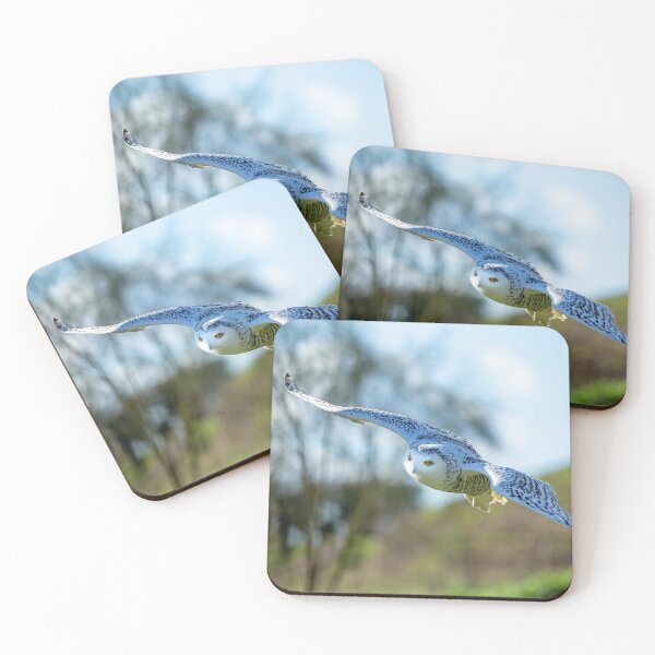 Item preview, Snowy Owl in Flight designed and sold by Dalyndigital Photography.