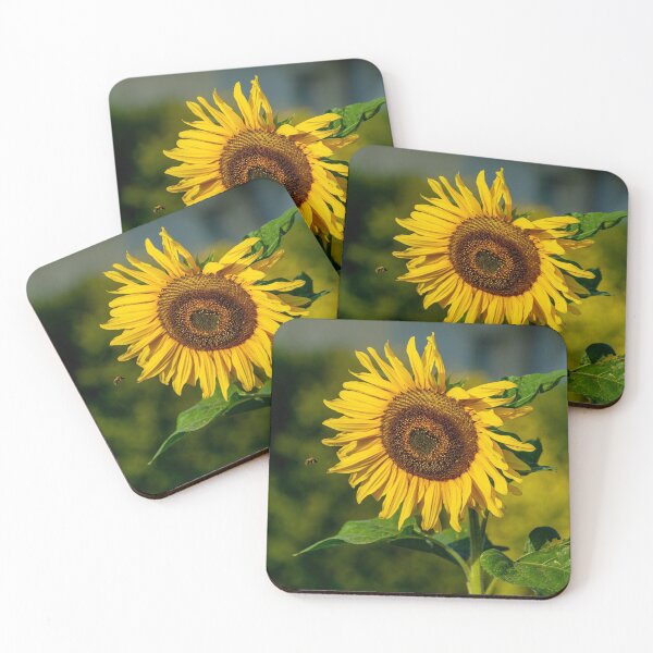 Item preview, Sunflower and the bee designed and sold by Dalyndigital Photography.