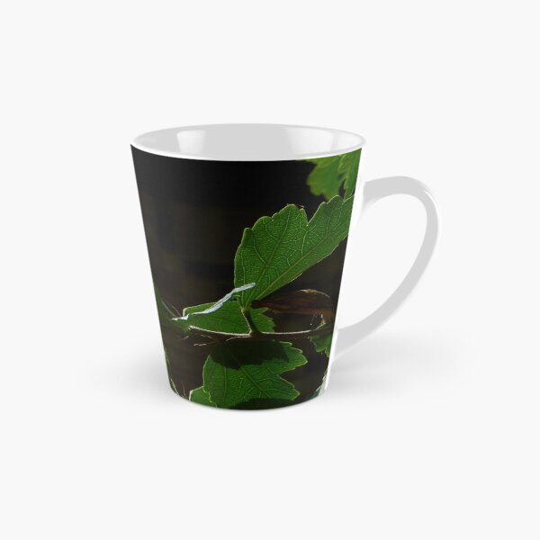 Item preview, BACK SIDE - ROSE OF SHARON designed and sold by Sandra  Aguirre.