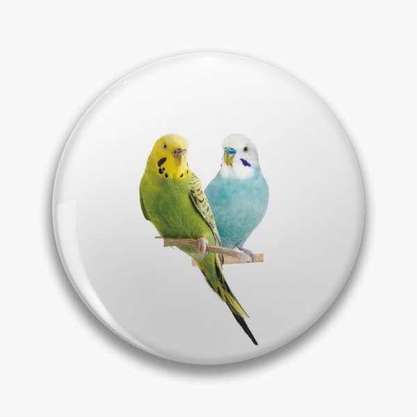 Item preview, the parakeet: cute and tiny birds designed and sold by JamalRok04.