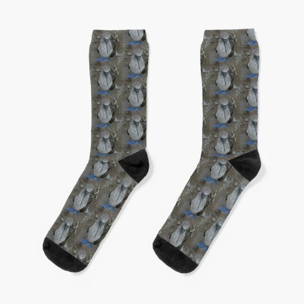 Blue Footed Booby Socks | Redbubble