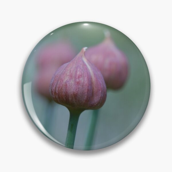 Item preview, Chive bulb designed and sold by EngineerGoC.