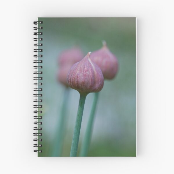 Item preview, Chive bulb designed and sold by EngineerGoC.