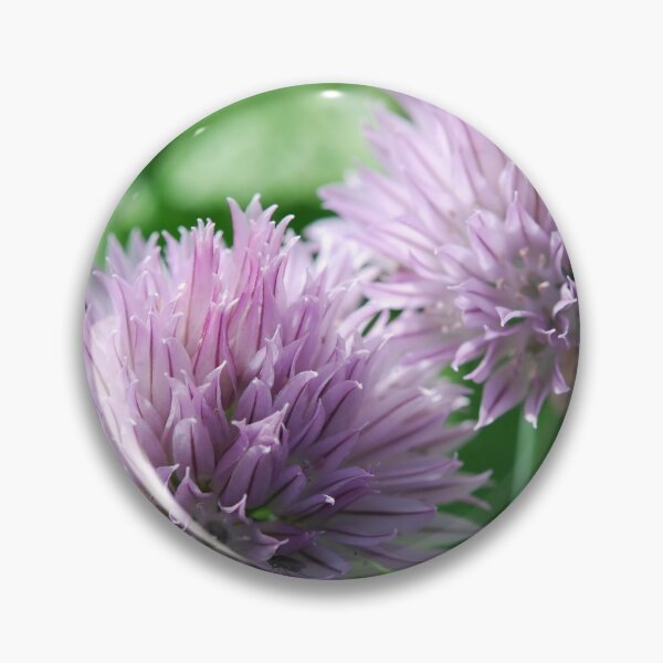 Item preview, Chive flower designed and sold by EngineerGoC.
