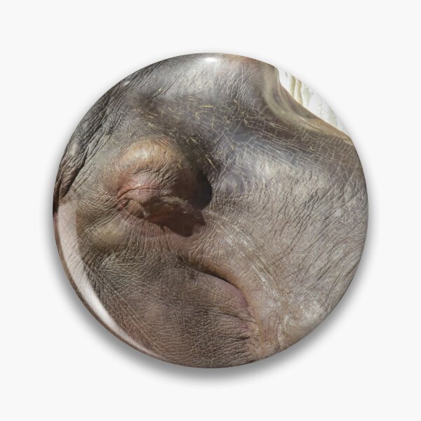 Item preview, Sunbathing Hippo designed and sold by Joanne Wall.