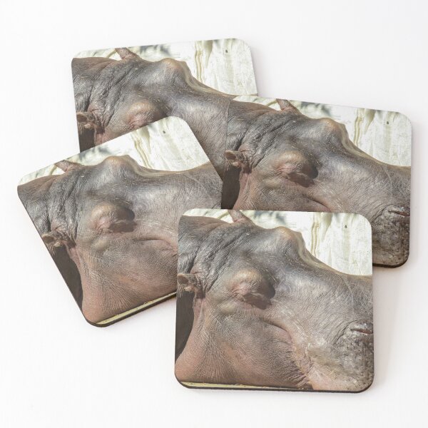Item preview, Sunbathing Hippo designed and sold by Joanne Wall.