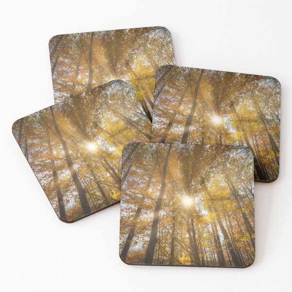 Item preview, Let The Sunshine In designed and sold by Yannik Hay.