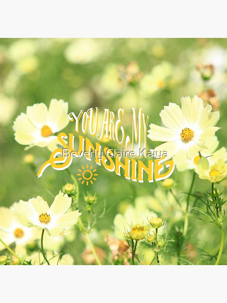 You Are My Sunshine Pretty Yellow Cosmos Flowers by beverlyclaire