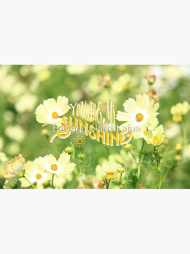 You Are My Sunshine Pretty Yellow Cosmos Flowers by beverlyclaire
