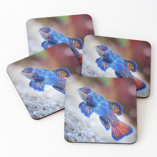Item preview, Blue Star Fish designed and sold by Ingo Menhard.