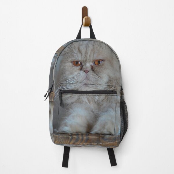 Item preview, Aris Cat on Grand Piano (Photo by AliceCCI) designed and sold by VanyssaGraphics.