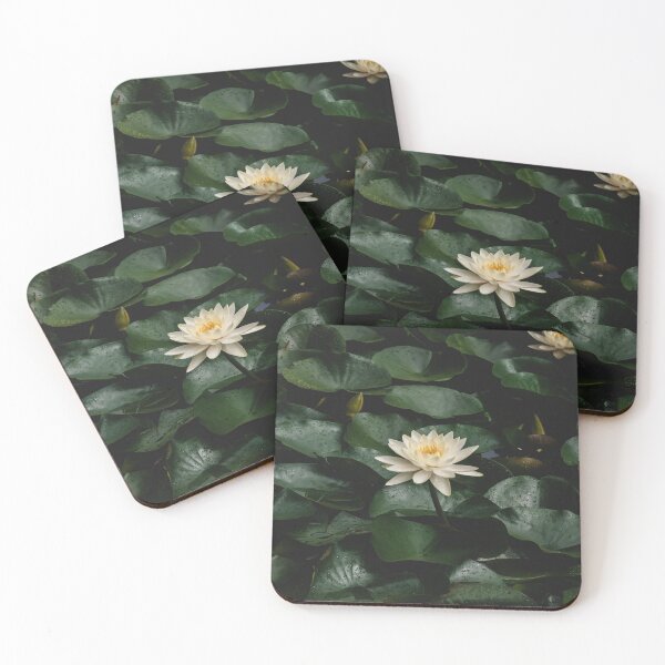 Item preview, Lotus and Lily pads designed and sold by JLPhotographer.
