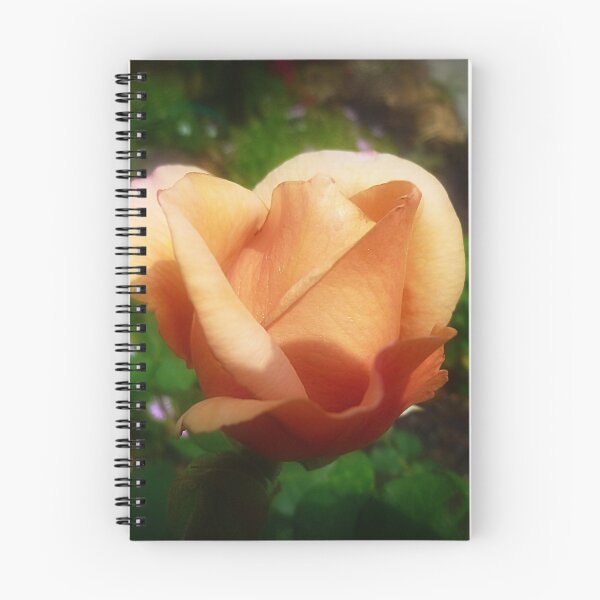 Item preview, *Julia's Rose - Beauty opening to Life* designed and sold by EdsMum.