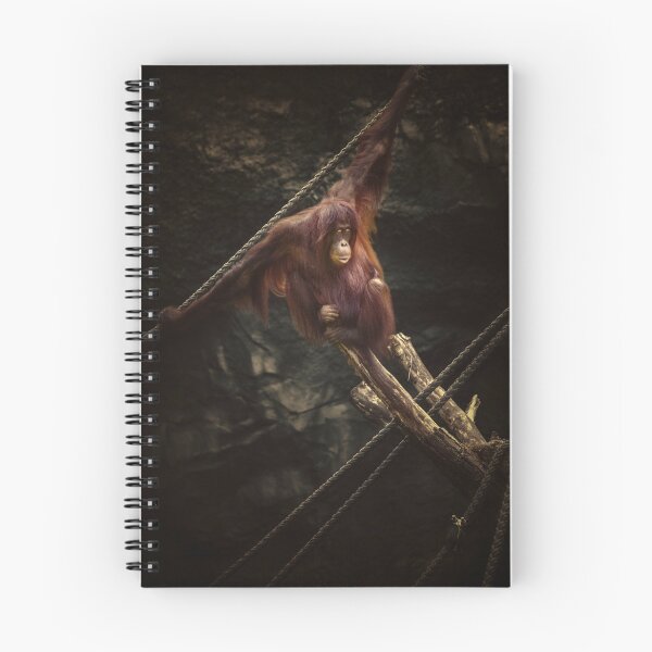 Item preview, Acrobat designed and sold by Ingo Menhard.