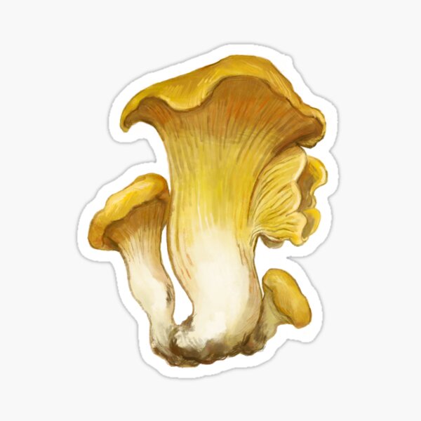 Item preview, Cantharellus Cibarius designed and sold by Sammalpeitto.