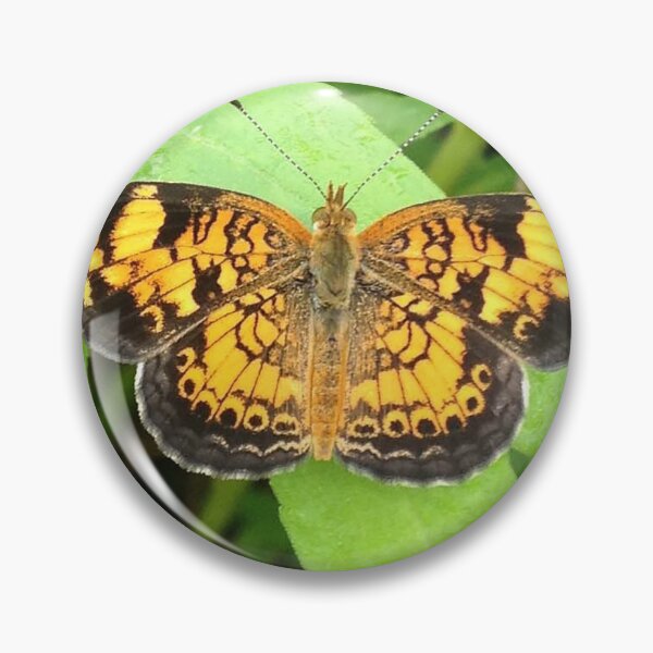 Item preview, Mariposa amarilla y negra designed and sold by OnaCreates.
