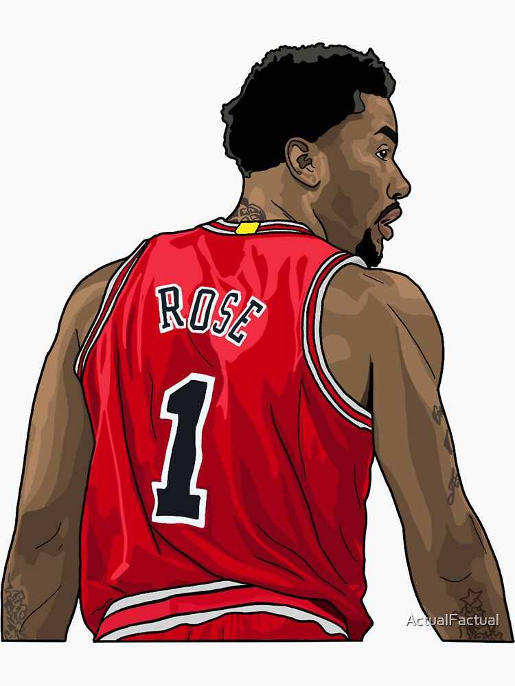 ActualFactual Derrick Rose | Chicago Bulls T-Shirt