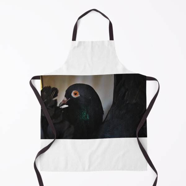 Item preview, Black Pigeon, Orange eyes designed and sold by Moemadrizk.