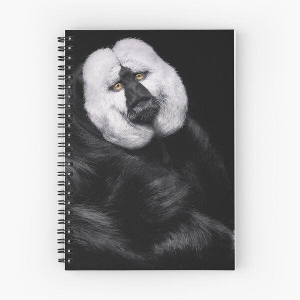 Item preview, The Beggar designed and sold by Ingo Menhard.