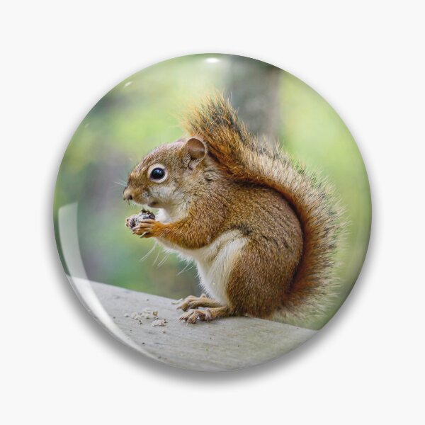 Item preview, Snacking designed and sold by YelloCoyote Photography.