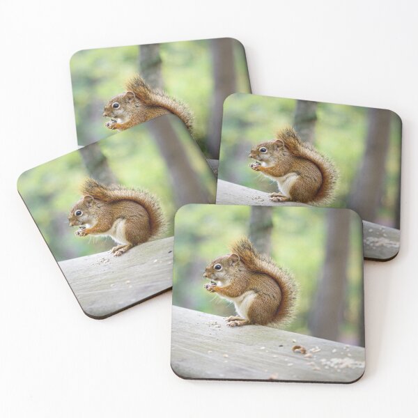 Item preview, Snacking designed and sold by YelloCoyote Photography.