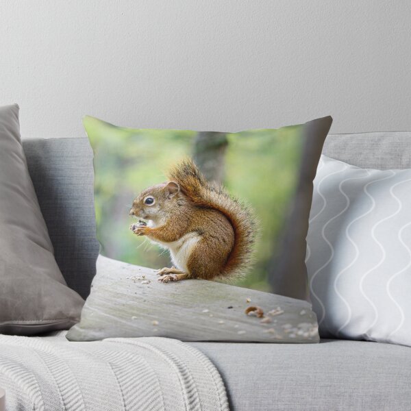 Item preview, Snacking designed and sold by YelloCoyote Photography.