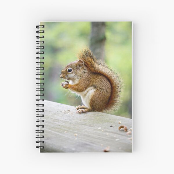 Item preview, Snacking designed and sold by YelloCoyote Photography.
