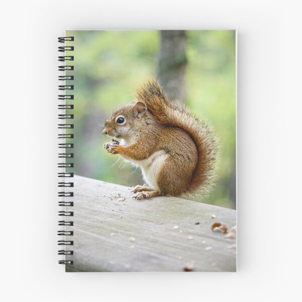 Item preview, Snacking designed and sold by YelloCoyote Photography.