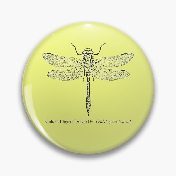 Item preview, Golden Ringed Dragonfly - Vintage Scientific Illustration designed and sold by coalfrog.