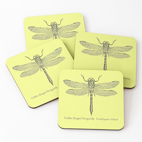 Item preview, Golden Ringed Dragonfly - Vintage Scientific Illustration designed and sold by coalfrog.