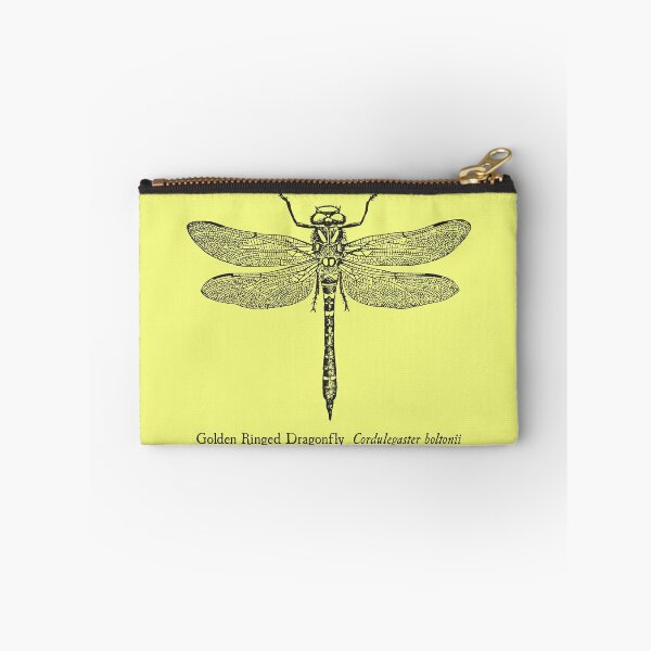 Item preview, Golden Ringed Dragonfly - Vintage Scientific Illustration designed and sold by coalfrog.