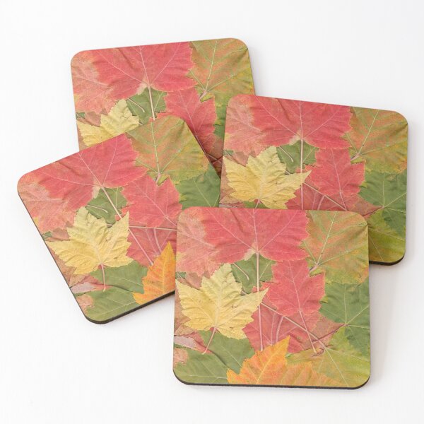 Aperçu de l'œuvre Feuilles d'automne, Feuilles d'automne, Saison, Saisonnier, DAM Creative, créée et vendue par DAM Creative ⭐⭐⭐⭐⭐.