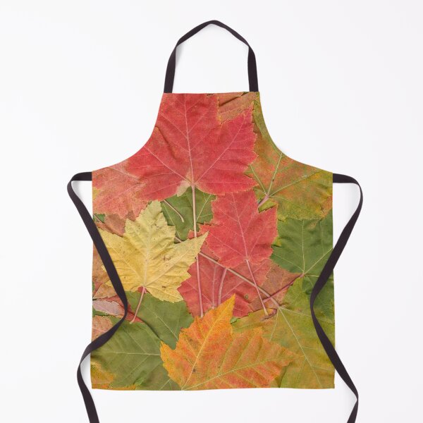 Aperçu de l'œuvre Feuilles d'automne, Feuilles d'automne, Saison, Saisonnier, DAM Creative, créée et vendue par DAM Creative ⭐⭐⭐⭐⭐.
