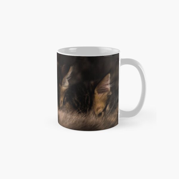 Kittens & mom Classic Mug
