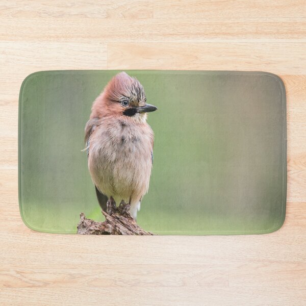 Item preview, Punk Eurasian Jay designed and sold by Dominika Aniola.
