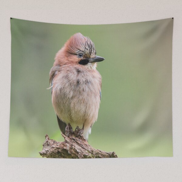 Item preview, Punk Eurasian Jay designed and sold by Dominika Aniola.