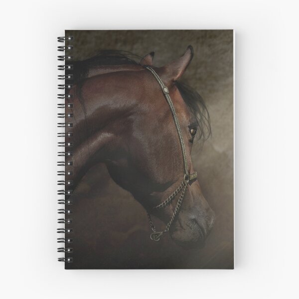 Item preview, Arabian horse  designed and sold by 42beats.