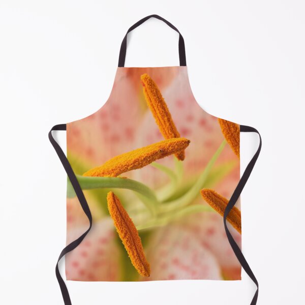 Item preview, Lilium  'Salmon Star'  Lily  Oriental hybrid  designed and sold by Chris Burrows.