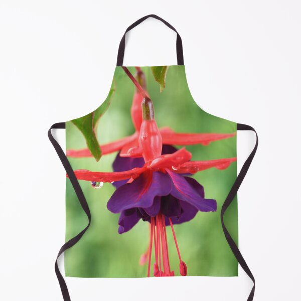 Item preview, Fuchsia FuchsiaBerry designed and sold by Chris Burrows.