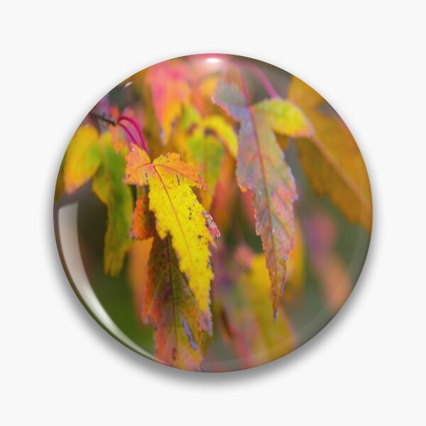 Item preview, Colors of Fall designed and sold by JohnDSmith.