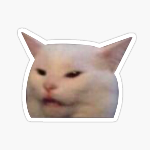 Artikel-Vorschau von Cat Meme, designt und verkauft von emmmcc.