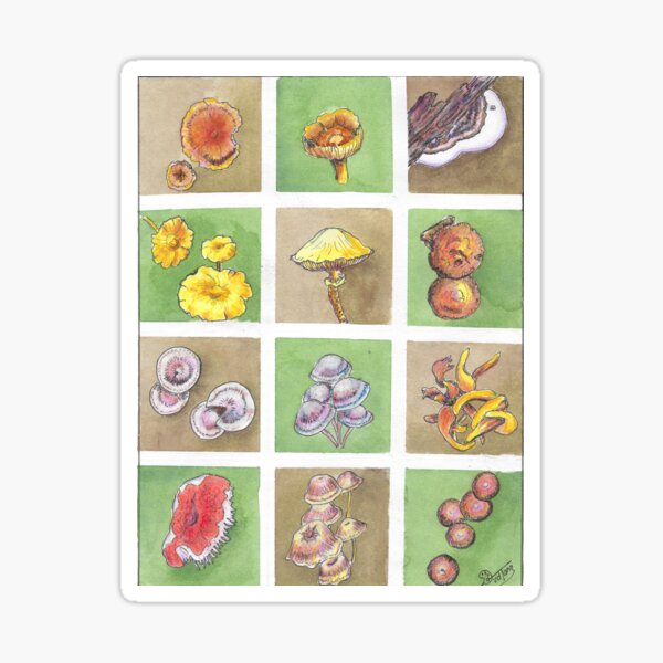 A collection of colorful fungi Sticker
