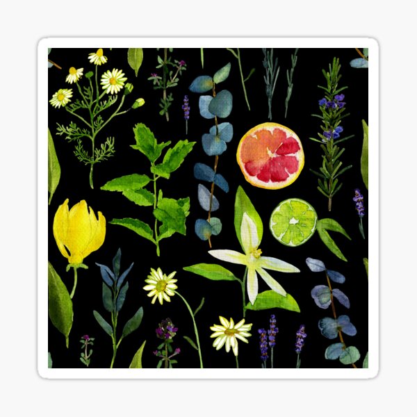 My favourite aroma oils on black Sticker