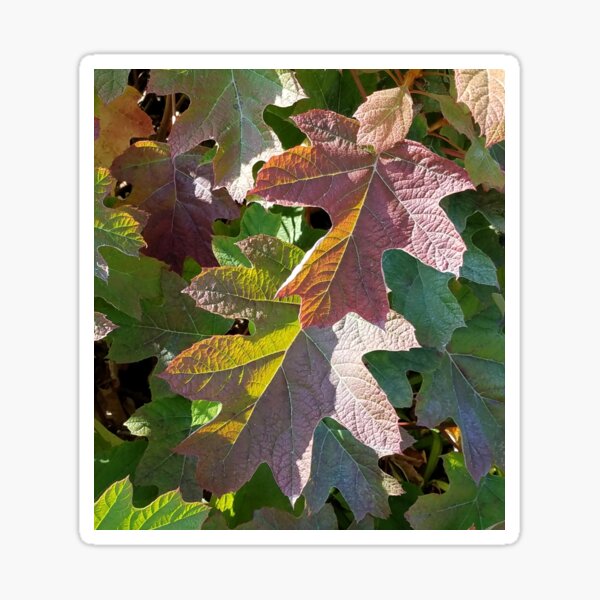 Item preview, Lovely Autumn designed and sold by Mary Ellen Tuite.