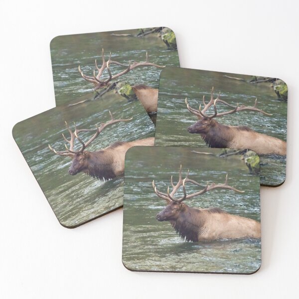 Item preview, Evening Cool Down designed and sold by Karen Peron.
